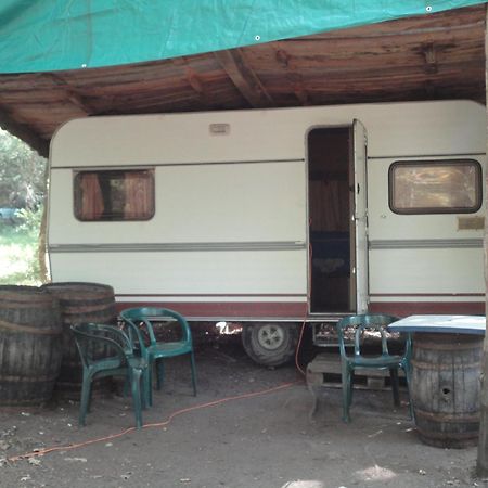 Air Naturel De Camping Moulin De Malesse Saint-Privat  Luaran gambar